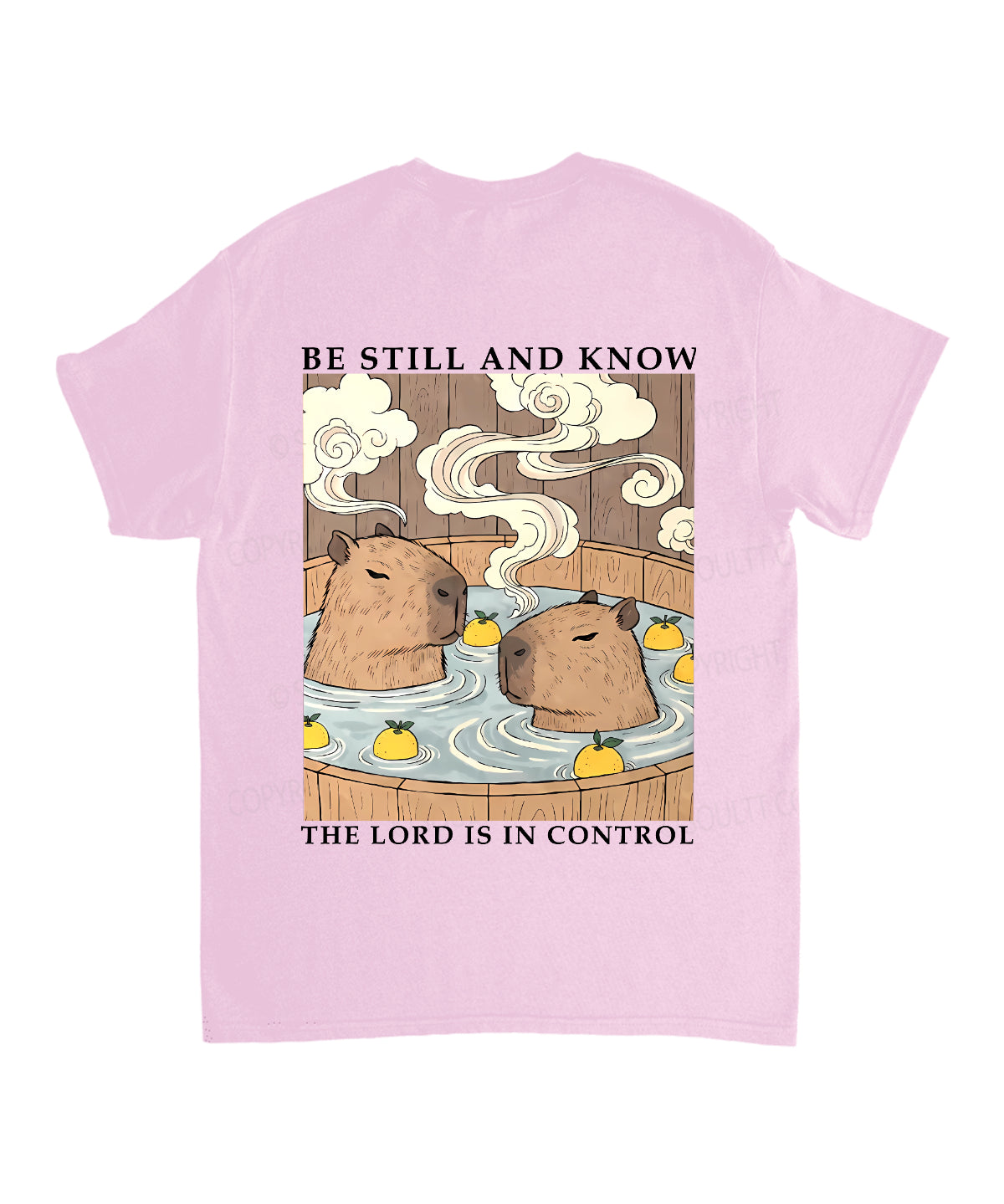 https://jollybell-1326511750.cos.accelerate.myqcloud.com/0/0312249aa4ad4e489e0e63640246004d.png