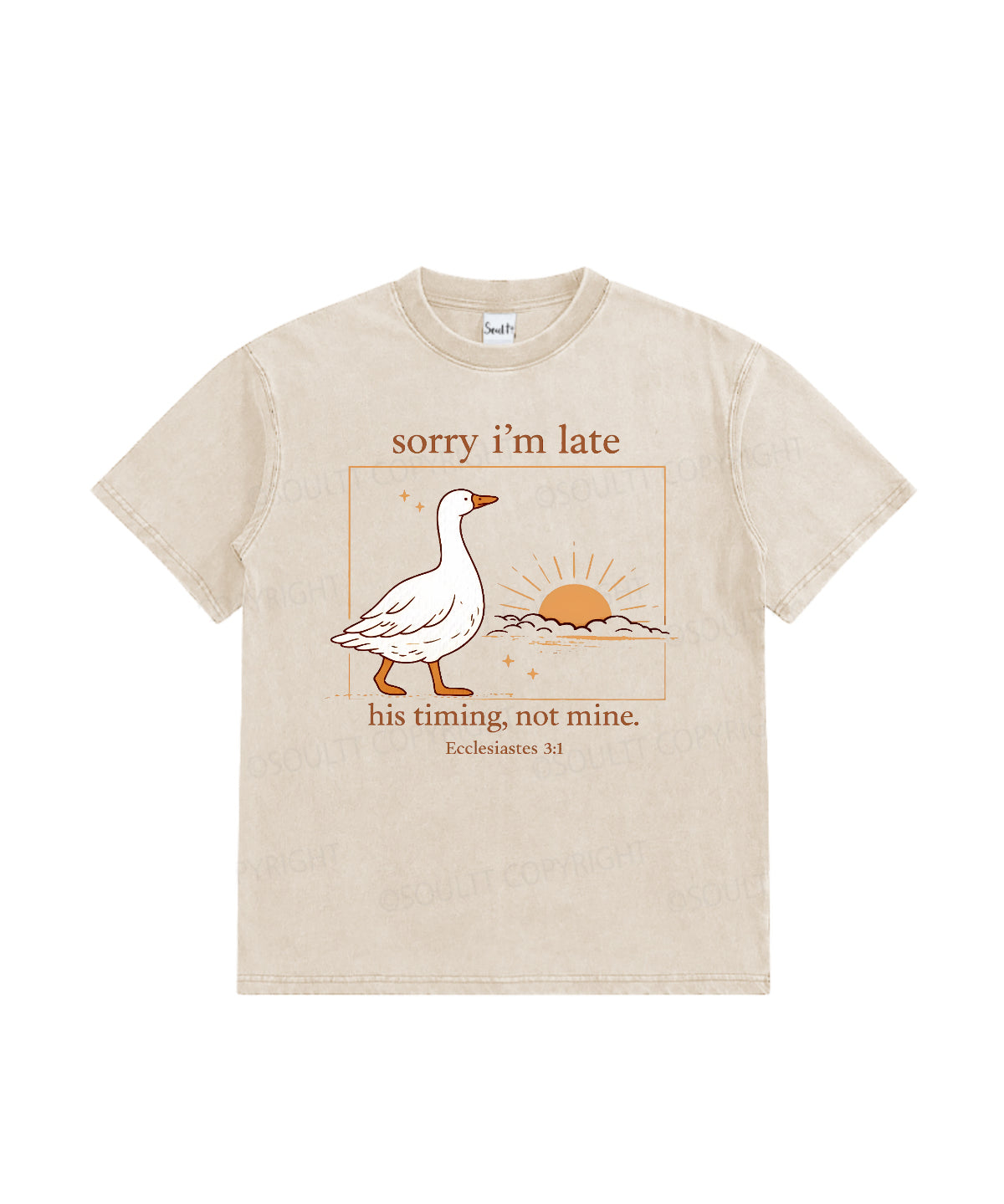 087998abb09a40ed9b188a8a01b4aab8.png