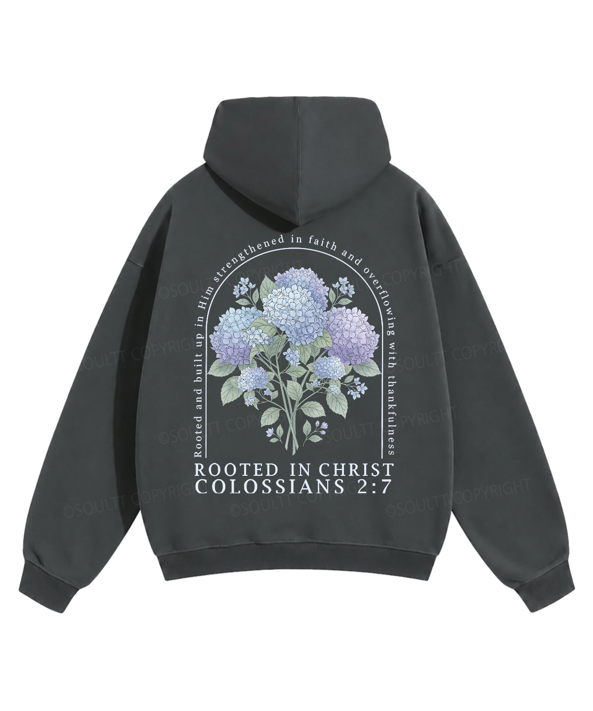https://jollybell-1326511750.cos.accelerate.myqcloud.com/0/0ae6a87d3bfb461ca3ec7fbbab094580.png