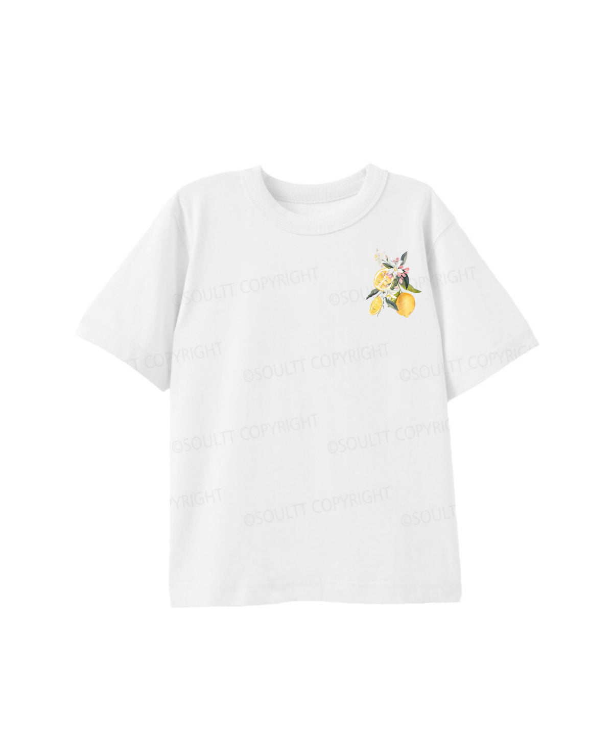 https://jollybell-1326511750.cos.accelerate.myqcloud.com/0/0cf757a905d84380922548e1a3fffd54.png