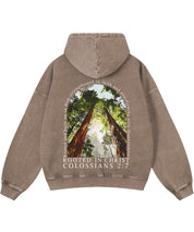 https://jollybell-1326511750.cos.accelerate.myqcloud.com/0/152b78be237a4fe2a081f41572b535c5.png