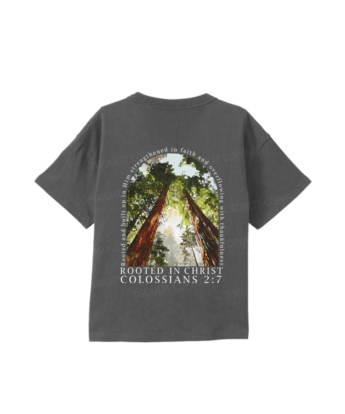 https://jollybell-1326511750.cos.accelerate.myqcloud.com/0/16604c8d10774a09b642e9f8ec0d34cb.png