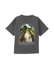 https://jollybell-1326511750.cos.accelerate.myqcloud.com/0/16604c8d10774a09b642e9f8ec0d34cb.png