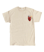 https://jollybell-1326511750.cos.accelerate.myqcloud.com/0/2385b042903045e8966575b0a7dfd3af.png