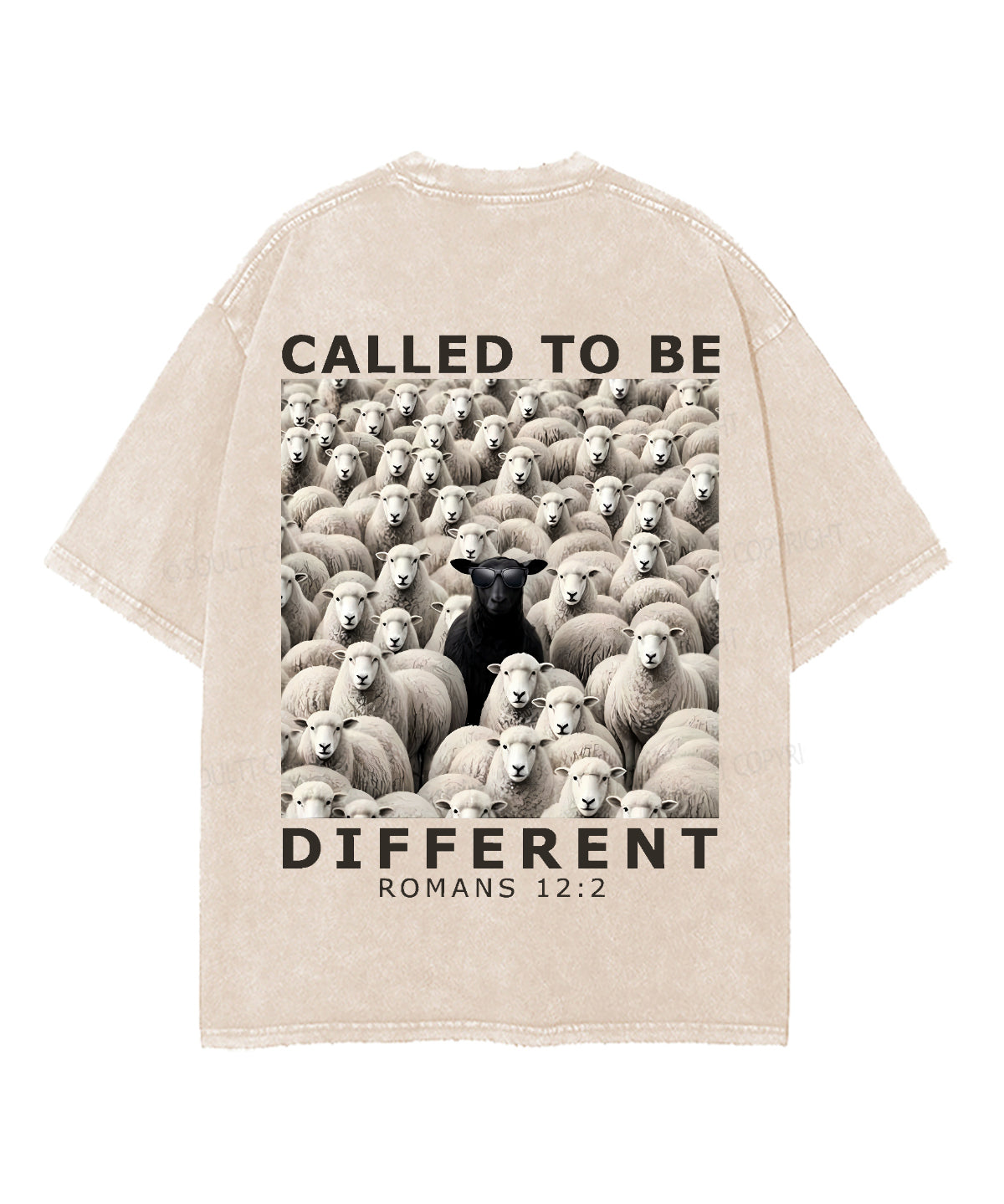 253ca8dcc913423dbfe59bd600852d9a.png