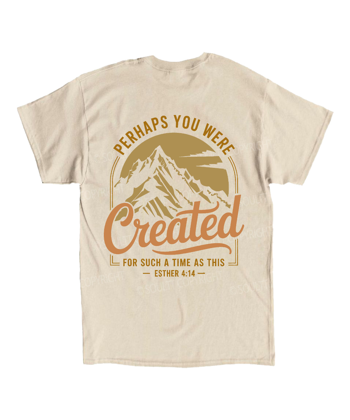 https://jollybell-1326511750.cos.accelerate.myqcloud.com/0/258a3737f7d94addb771c3483487d250.png