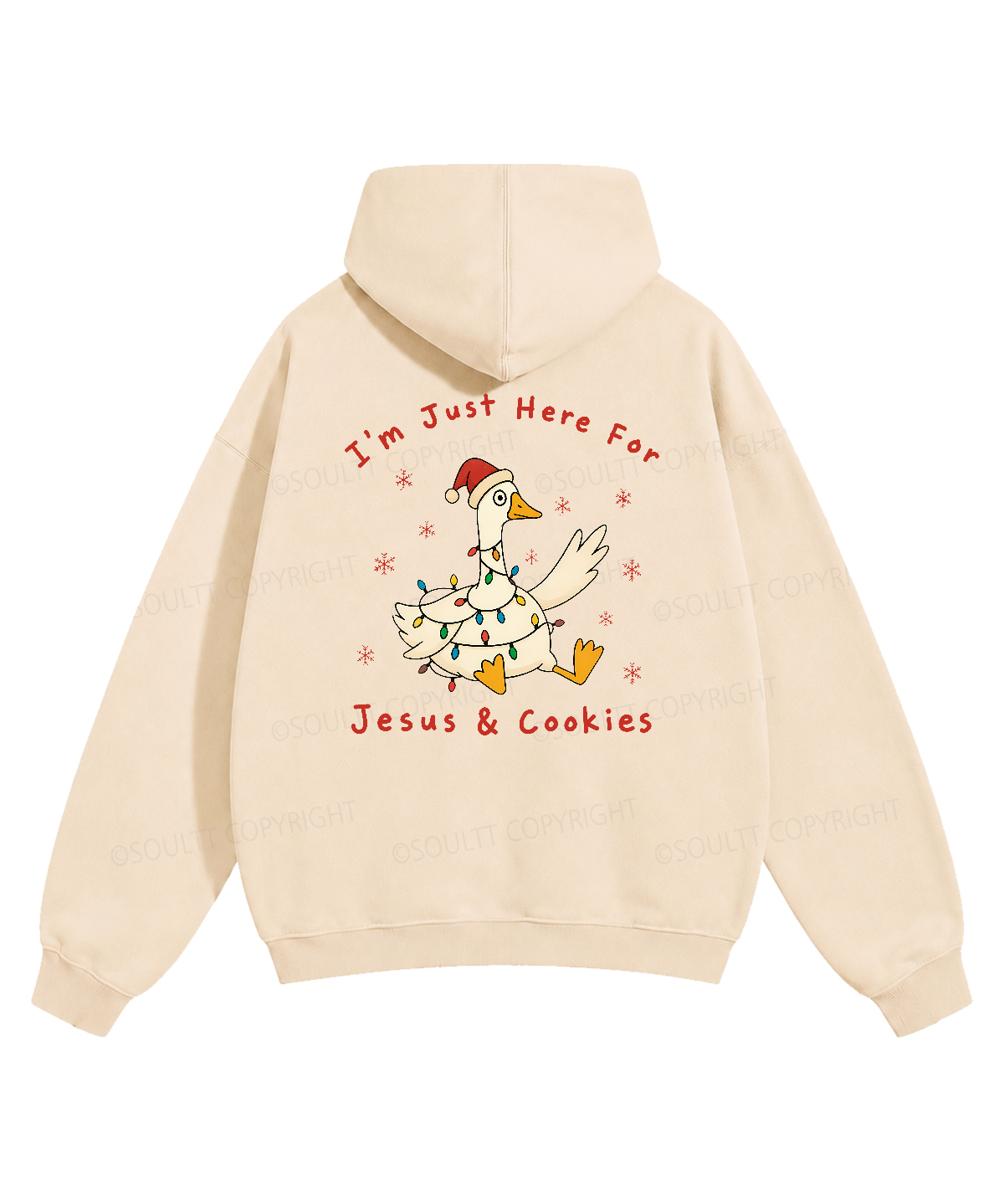 https://jollybell-1326511750.cos.accelerate.myqcloud.com/image/2d768af2bdd44f119cc49ffbae7e52bc.png