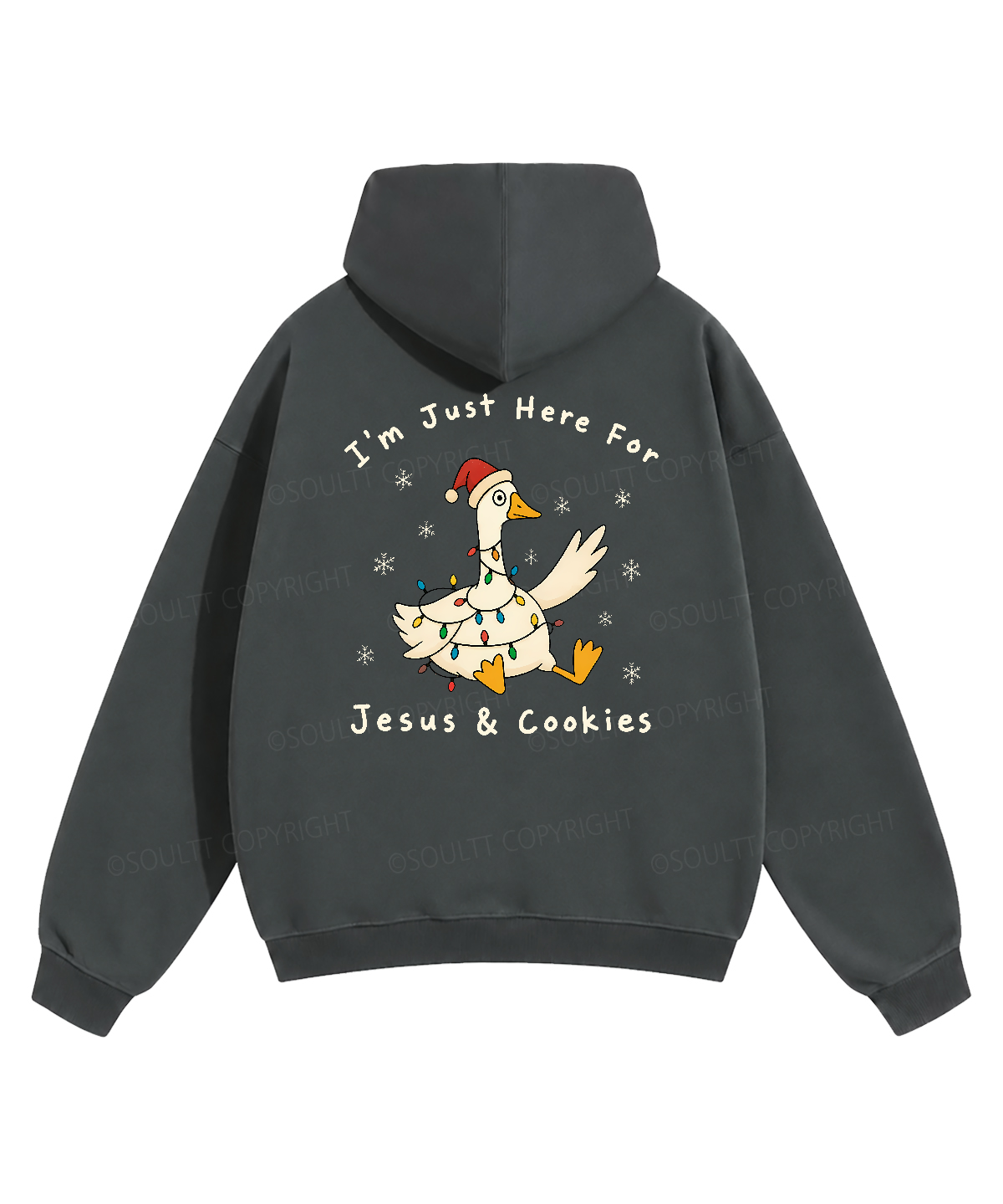 https://jollybell-1326511750.cos.accelerate.myqcloud.com/image/3716e0fa4a7d43778ecdf3dd67cd3f02.png