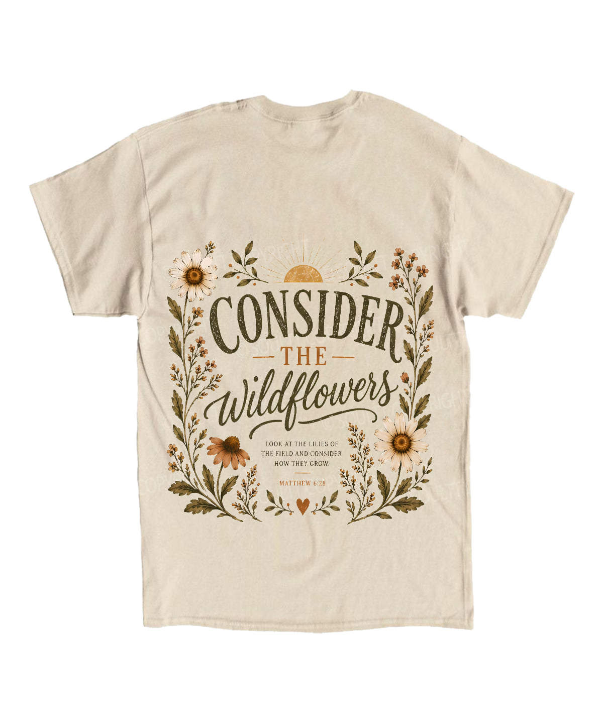 https://jollybell-1326511750.cos.accelerate.myqcloud.com/0/3d692ea4a35d4fb2a4e5573f1733328c.png