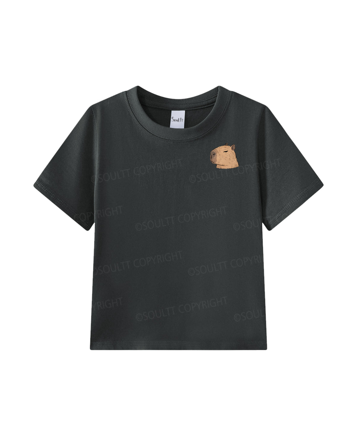 https://jollybell-1326511750.cos.accelerate.myqcloud.com/0/41bf9d451324424da63a9838b2982110.png