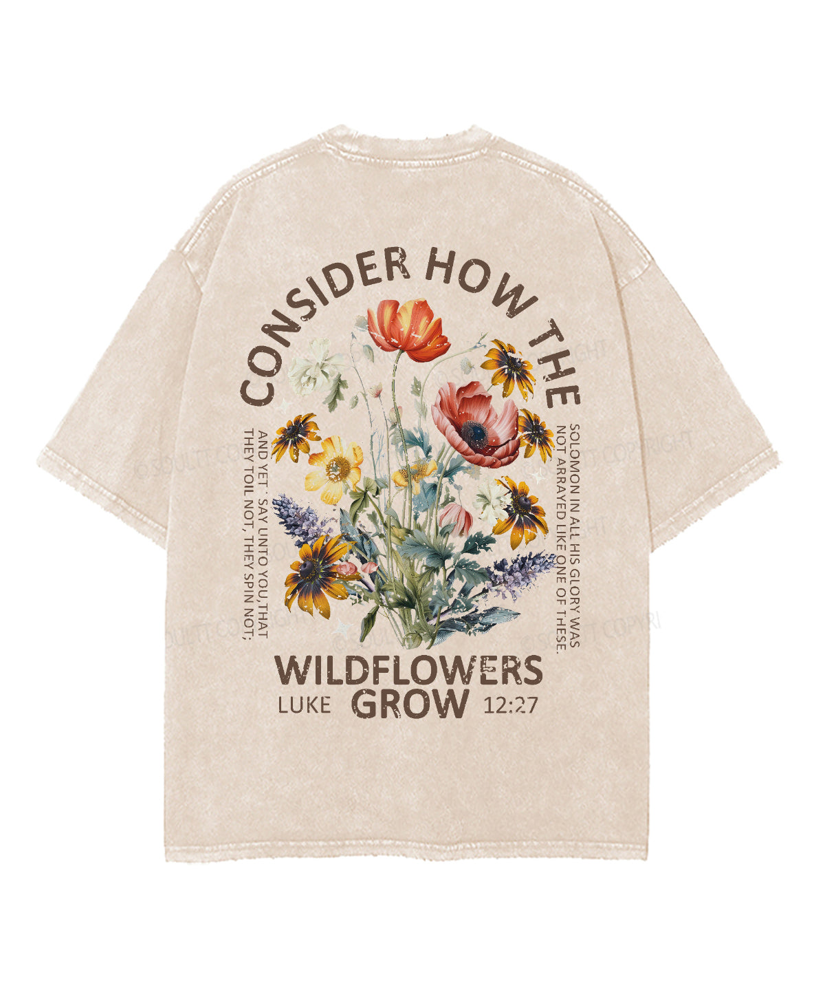 https://jollybell-1326511750.cos.accelerate.myqcloud.com/0/42723b417deb45a588d53ad8eebbab81.png