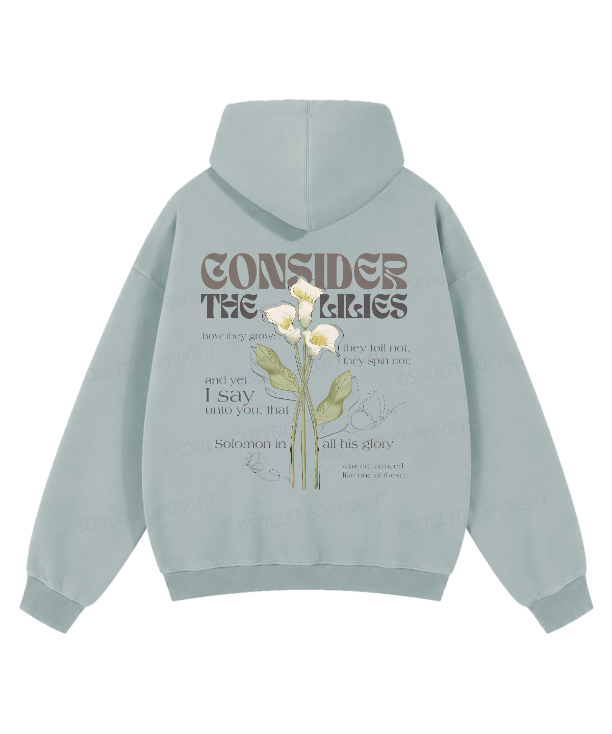 https://jollybell-1326511750.cos.accelerate.myqcloud.com/0/42c991ec86db44c99884b6ade5f0678b.png
