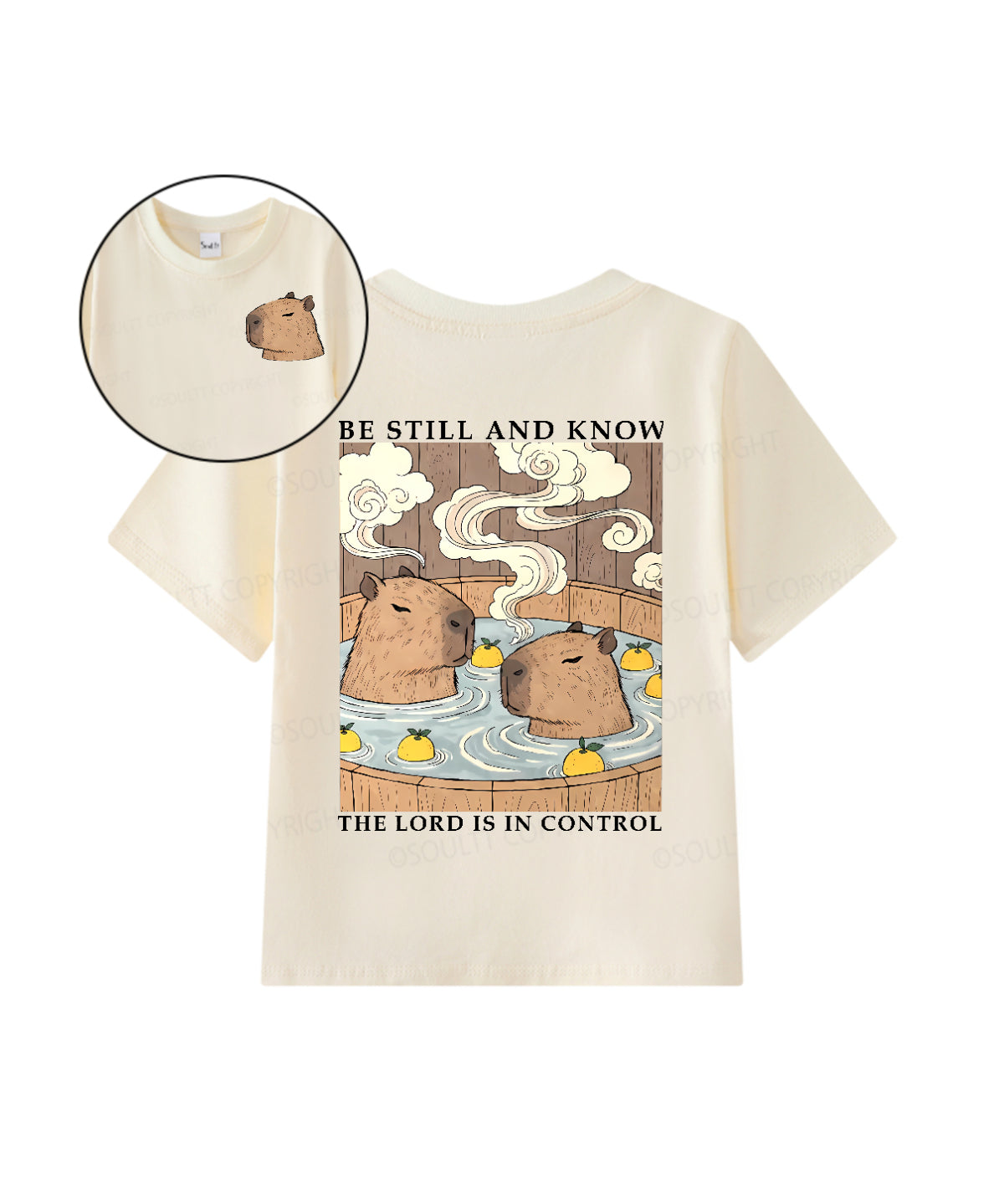 42ccf9baf8c14b4a875dc34555d122c0.png