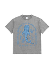 https://jollybell-1326511750.cos.accelerate.myqcloud.com/0/4395cae7b9d54fcd95a9bd1d4ebc41ea.png