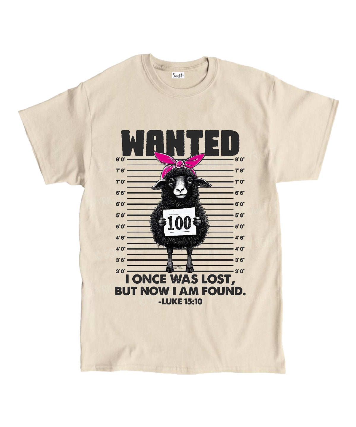 https://jollybell-1326511750.cos.accelerate.myqcloud.com/0/4711b4ac5c9545349d50a6d30cbb6601.png