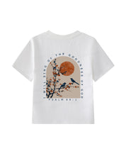 https://jollybell-1326511750.cos.accelerate.myqcloud.com/0/498cbb9981b6439bbbe232c1d613f8be.png