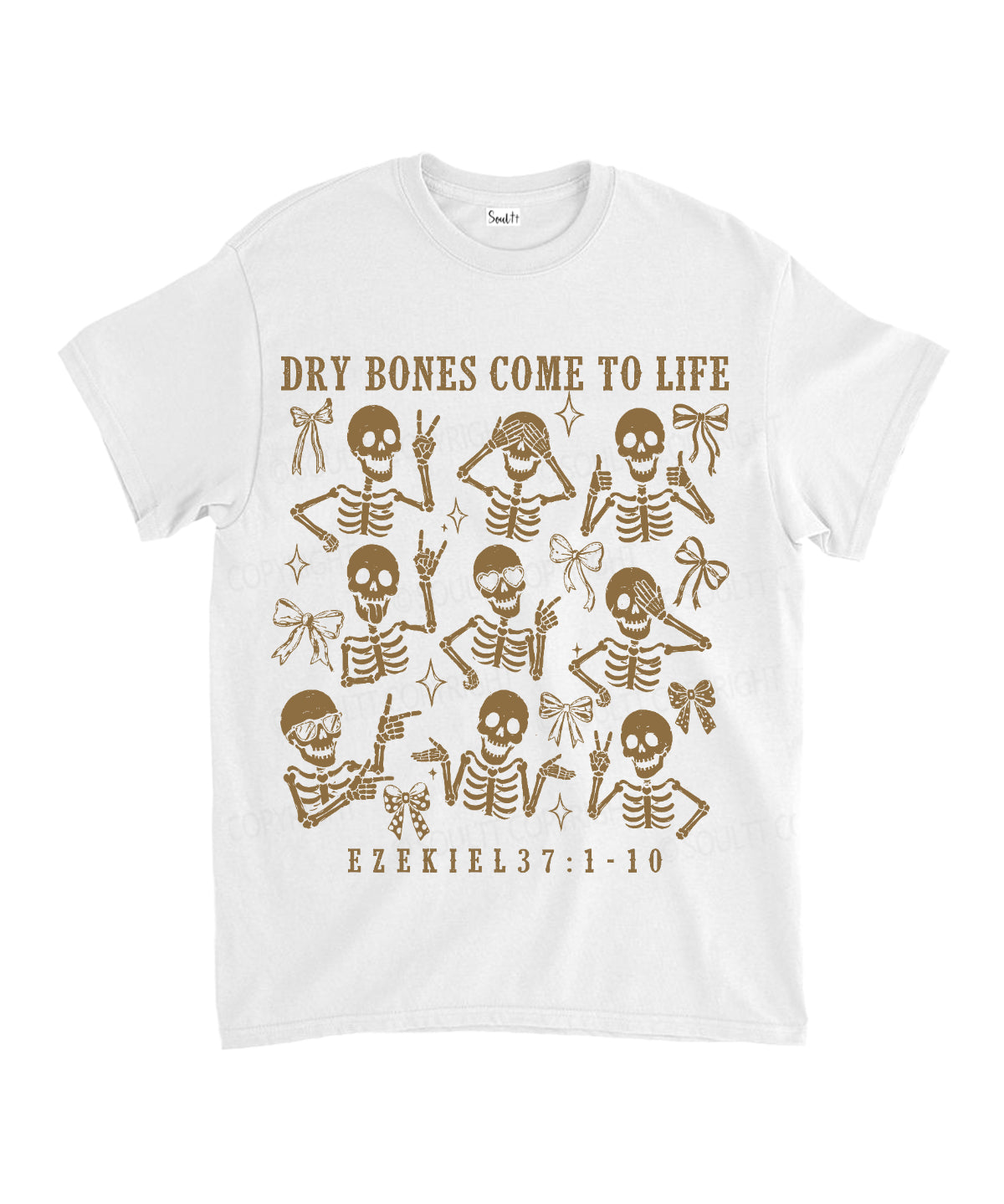 https://jollybell-1326511750.cos.accelerate.myqcloud.com/0/4a997137419540babfcdeca9ad0ea3a4.png