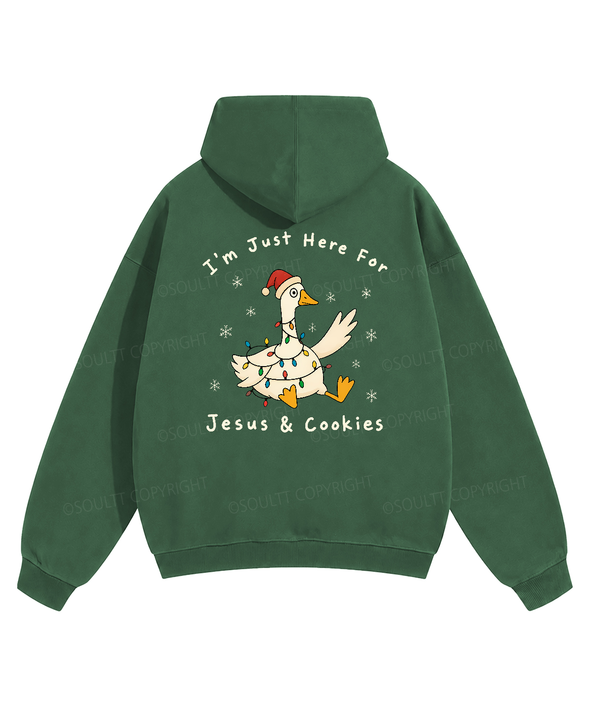 https://jollybell-1326511750.cos.accelerate.myqcloud.com/image/530b3de9028042738b20550b45e54558.png