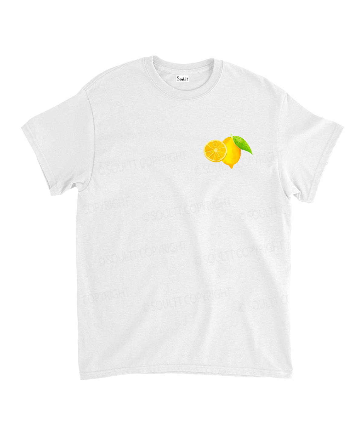 https://jollybell-1326511750.cos.accelerate.myqcloud.com/0/5ad83a4641f94247a98652763776264f.png