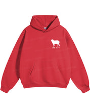 https://jollybell-1326511750.cos.accelerate.myqcloud.com/0/5b50adbd20ff4a6fafbf6cac276b0504.png