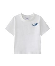 https://jollybell-1326511750.cos.accelerate.myqcloud.com/0/5e719eb80b3042d1b9361b6f3390adec.png
