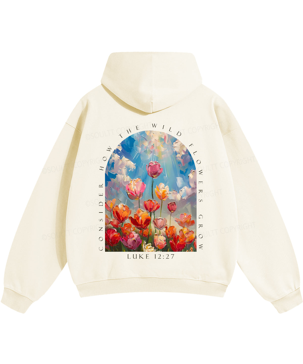 https://jollybell-1326511750.cos.accelerate.myqcloud.com/0/61ff6678c5cc43948bd6d10a306f1d05.png