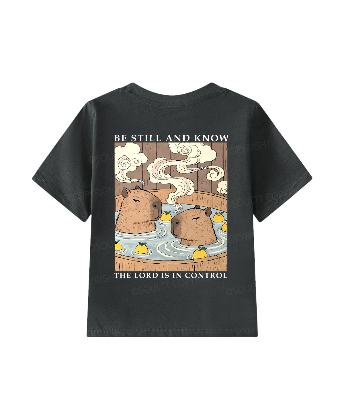 https://jollybell-1326511750.cos.accelerate.myqcloud.com/0/63ab6e9a3d0c4fd992592b5619c676e8.png