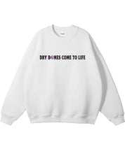 https://jollybell-1326511750.cos.accelerate.myqcloud.com/0/6d2c30c38db14709bf563dad78b1d42a.png