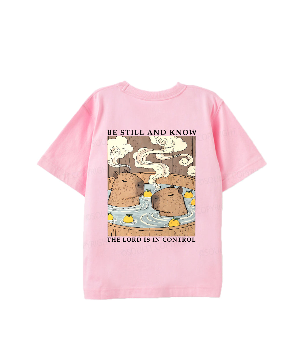 https://jollybell-1326511750.cos.accelerate.myqcloud.com/0/77eb31c03a534bc6a7c40ddca170de63.png