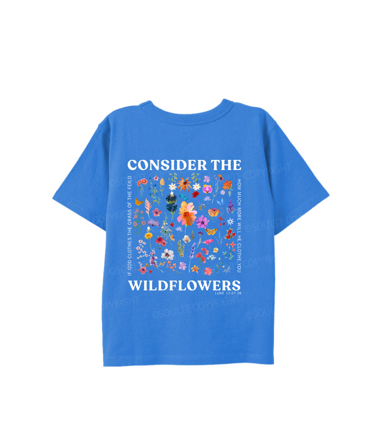 https://jollybell-1326511750.cos.accelerate.myqcloud.com/0/7900fdfb606e48dca3e095886e557c79.png