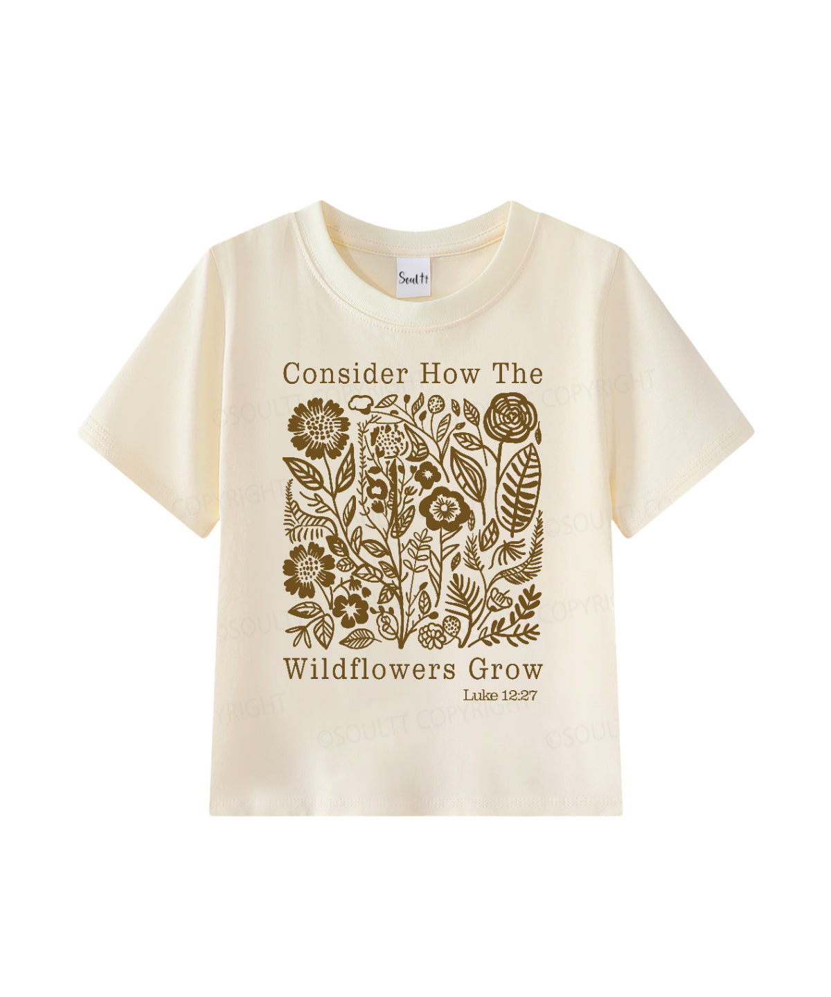 https://jollybell-1326511750.cos.accelerate.myqcloud.com/0/79c530fc35fd46baa852c36ba1225f77.png