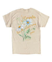 https://jollybell-1326511750.cos.accelerate.myqcloud.com/0/7d69b43bf7a645a282eeff90484f415e.png