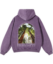 https://jollybell-1326511750.cos.accelerate.myqcloud.com/0/7f5ce2f9b0b84170a649653c21e962ba.png