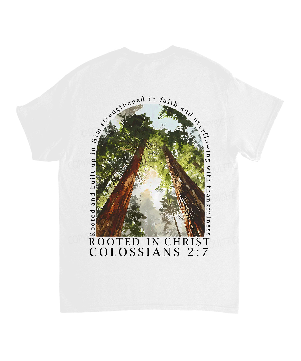 https://jollybell-1326511750.cos.accelerate.myqcloud.com/0/83f144d15f8a4ceda4e53a521de63267.png