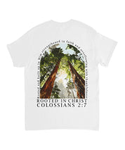 https://jollybell-1326511750.cos.accelerate.myqcloud.com/0/83f144d15f8a4ceda4e53a521de63267.png