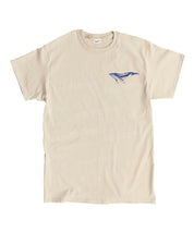 https://jollybell-1326511750.cos.accelerate.myqcloud.com/0/87694fcb24854696a5c941f0a126671d.png