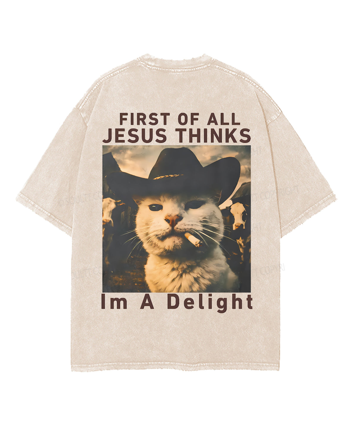 89b732e27b364a7ab5711fbcbe68d109.png