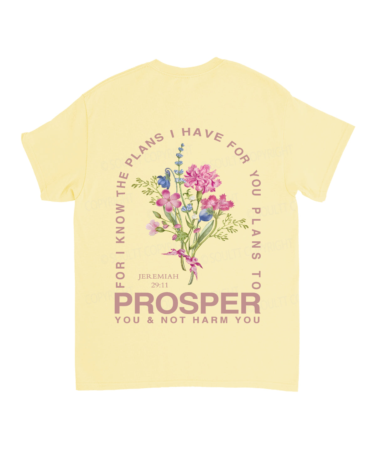 The Plan I Have For You Double Sided Unisex Cotton Christian T-Shirt