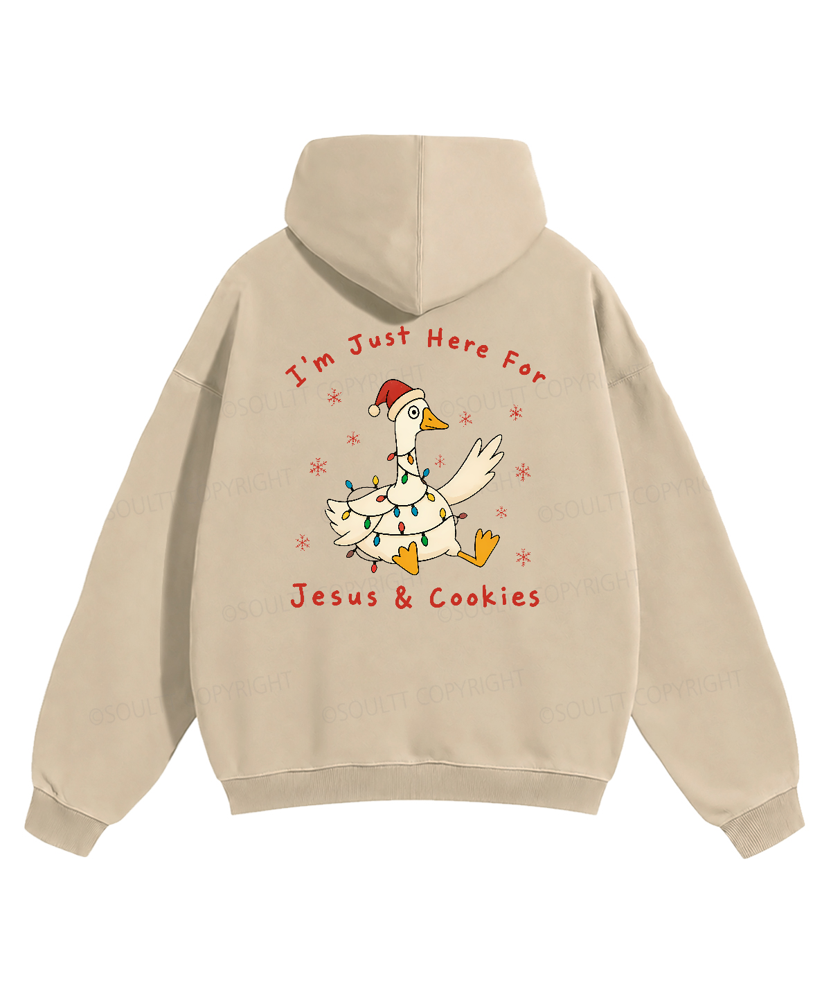 https://jollybell-1326511750.cos.accelerate.myqcloud.com/image/8f4813de7e034fc1a0068b5d6ae5e9f1.png