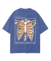 https://jollybell-1326511750.cos.accelerate.myqcloud.com/0/a7e975bd8e164e2a841634fe0127c9f1.png