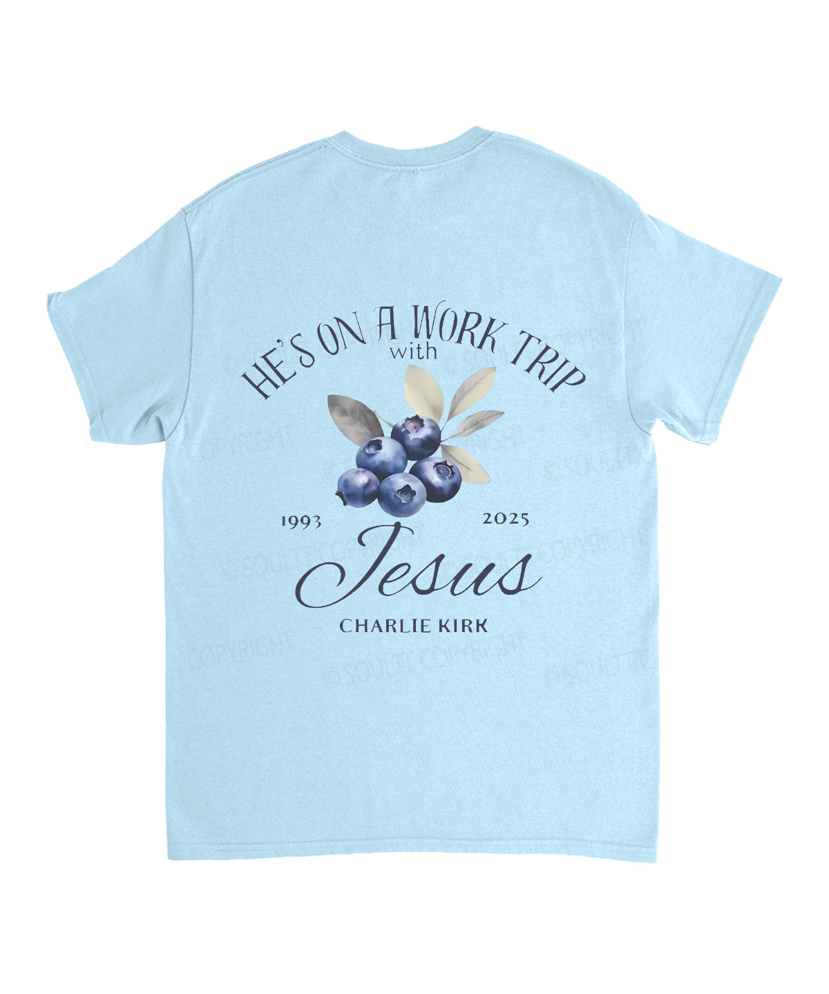 https://jollybell-1326511750.cos.accelerate.myqcloud.com/0/a80bb62172c242389d2affa02207a507.png