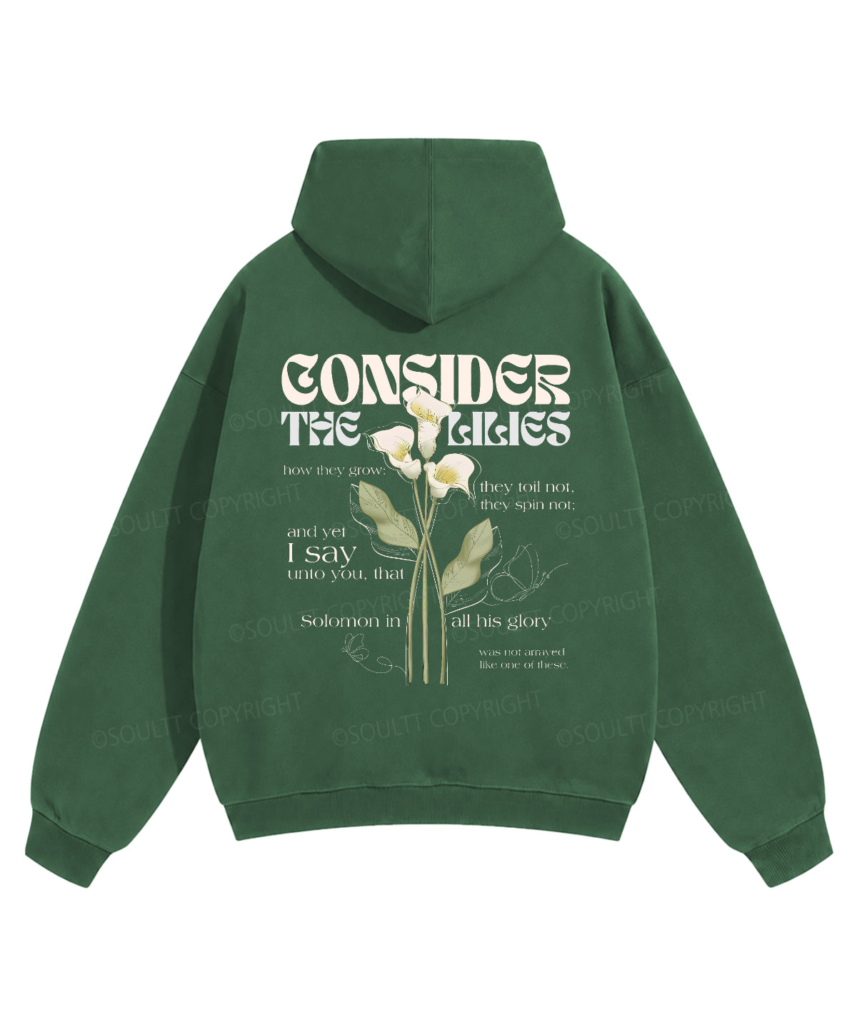 https://jollybell-1326511750.cos.accelerate.myqcloud.com/0/b096f0ba088d4a7bbbb87d660194e016.png