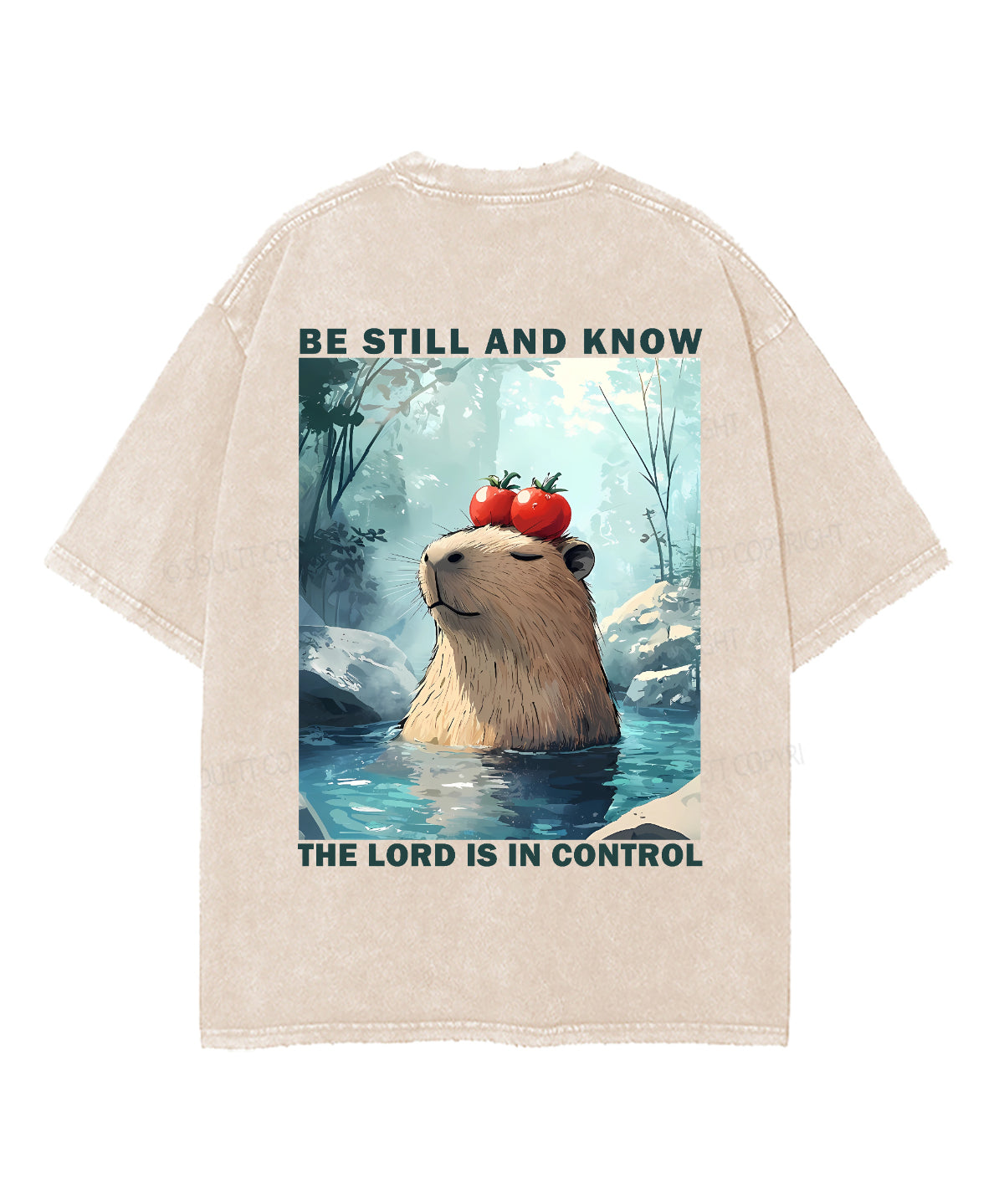https://jollybell-1326511750.cos.accelerate.myqcloud.com/0/b9525d35f134497fbf929bea7fcf2772.png