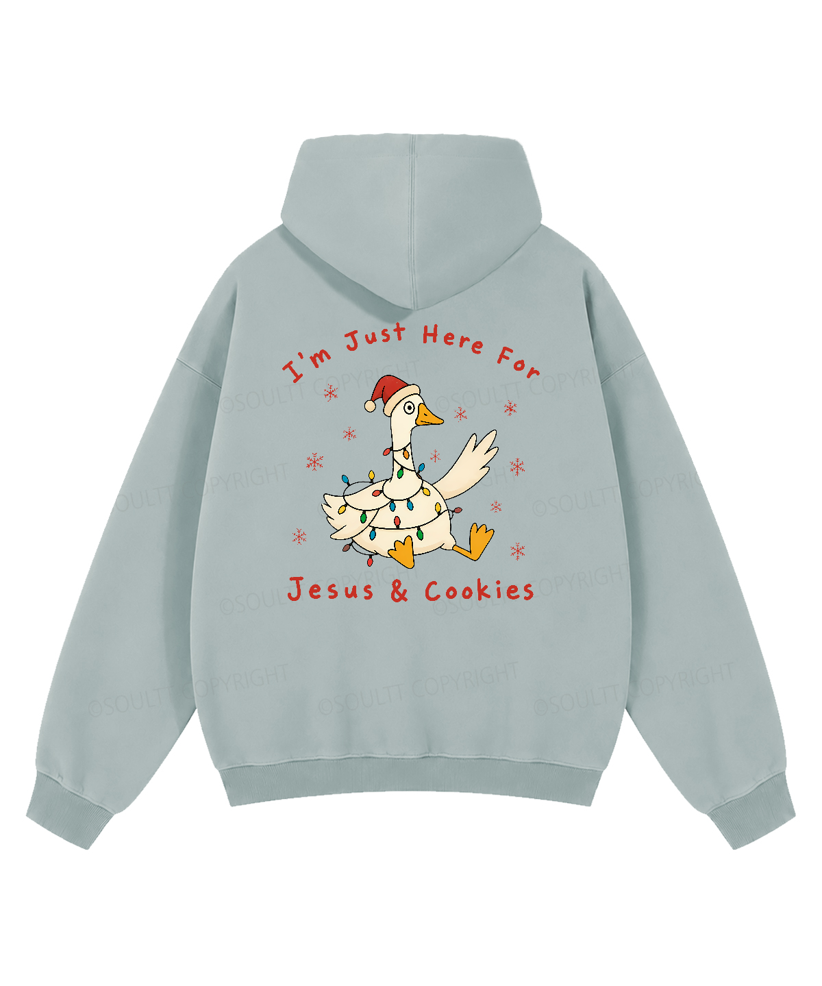 https://jollybell-1326511750.cos.accelerate.myqcloud.com/image/cb11db1e1fff475a9c19a65348e35a6c.png