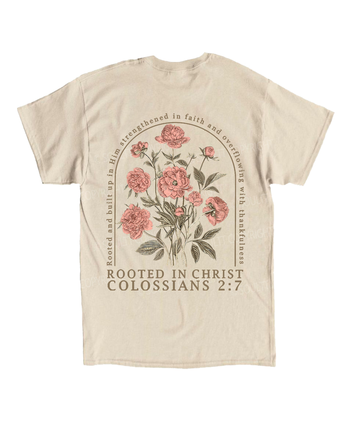 https://jollybell-1326511750.cos.accelerate.myqcloud.com/0/cba1cddc1ca04eb9a90903c0d5d9026d.png