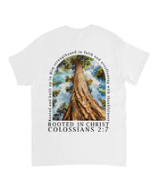 https://jollybell-1326511750.cos.accelerate.myqcloud.com/0/cde6e9542085455eae7fdc78f6ad36b2.png