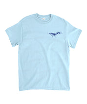 https://jollybell-1326511750.cos.accelerate.myqcloud.com/0/d0a359f5fa274caaa5a8fcd6ab329ad4.png