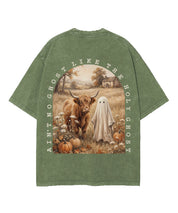 https://jollybell-1326511750.cos.accelerate.myqcloud.com/0/d11e767516354dcda4e9c7d3076c9833.png