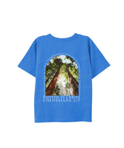 https://jollybell-1326511750.cos.accelerate.myqcloud.com/0/d5391d1f0685469cace2cfee0640f798.png