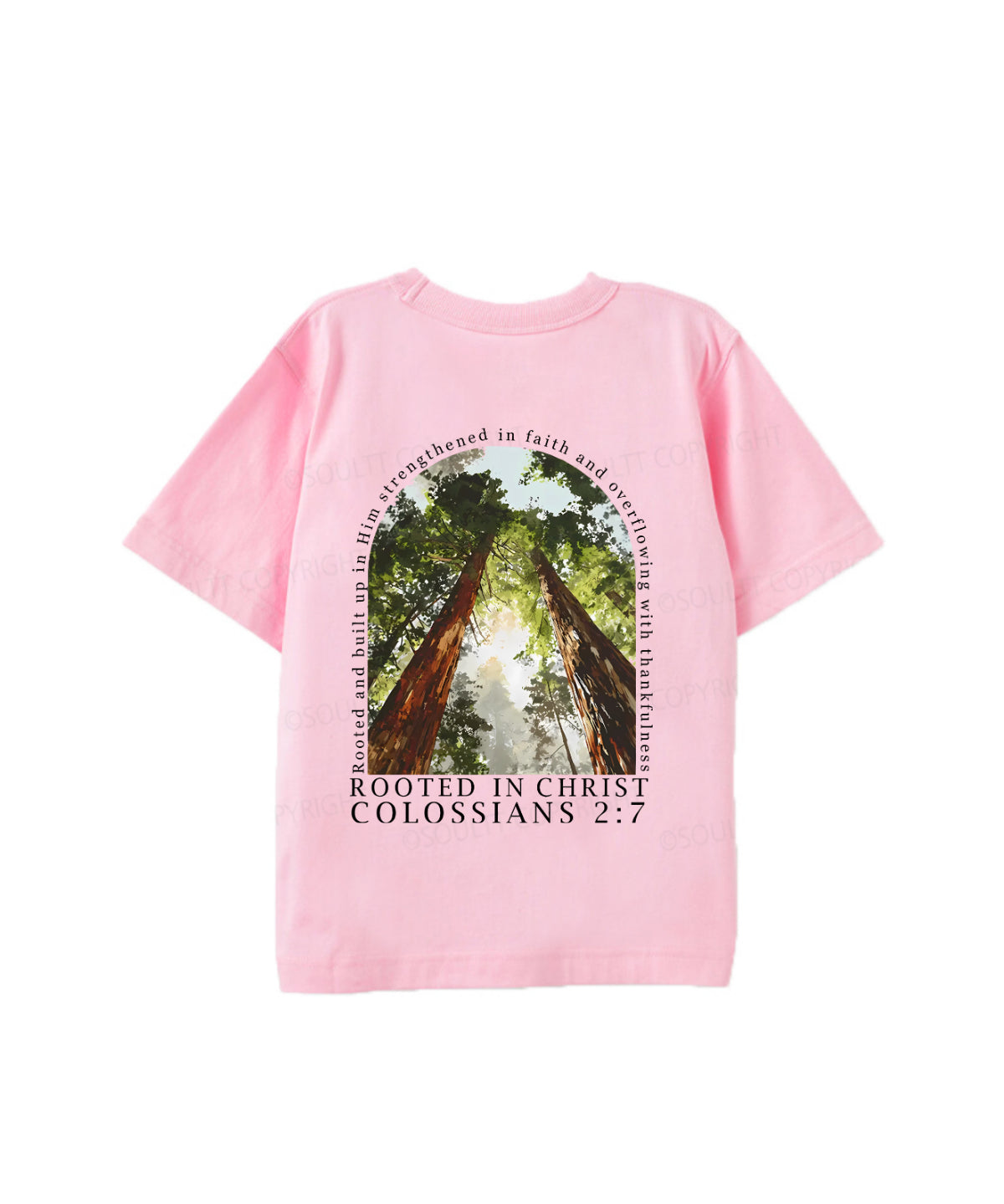 https://jollybell-1326511750.cos.accelerate.myqcloud.com/0/d824c169fe974f16bd909f40a74f3320.png